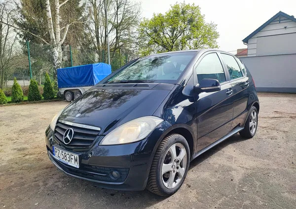 wielkopolskie Mercedes-Benz Klasa A cena 12499 przebieg: 239790, rok produkcji 2009 z Szamotuły